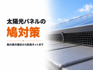 太陽光パネルの鳩対策と鳥の巣の撤去から防鳥ネットまで