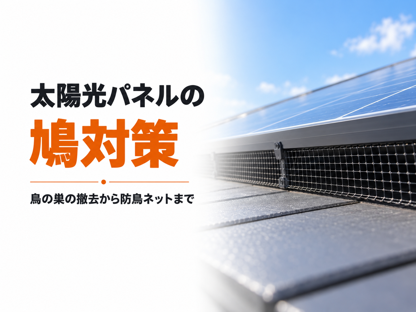 太陽光パネルの鳩対策と鳥の巣の撤去から防鳥ネットまで
